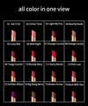 CHARMACY New Colors Waterproof Velvet Lipstick Easy To Wear Water-resistant Lip Stick Long-Lasting Matte Lip Makeup Cosmetic NoirKiss