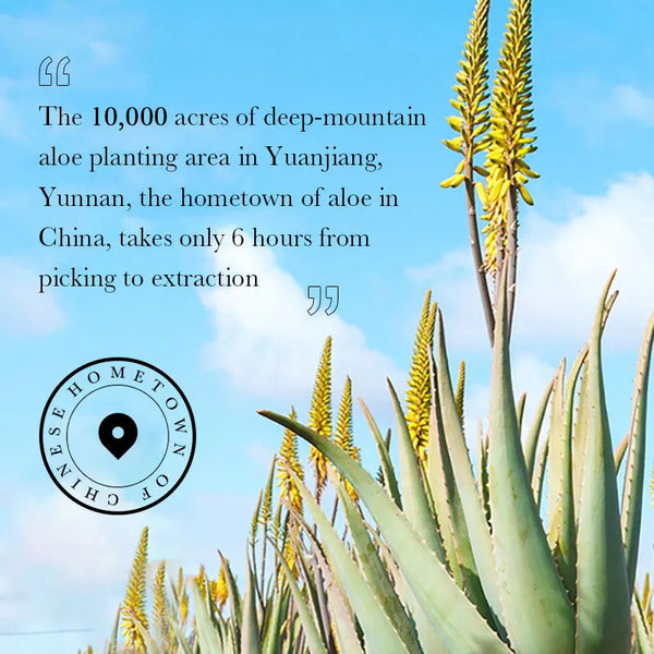 SADOER 蘆薈無瑕粉底液 - 持久不脫妝，不卡粉控油 NoirKiss