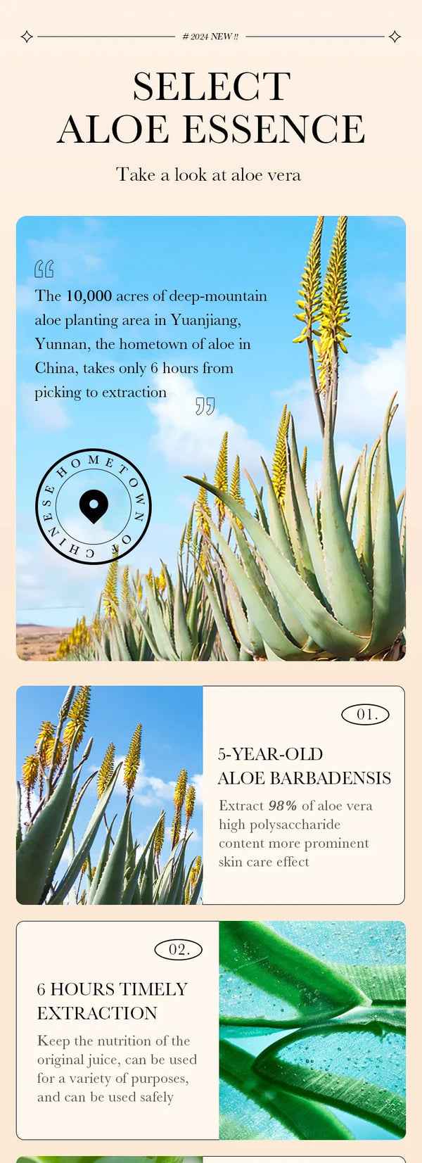 SADOER 蘆薈無瑕粉底液 - 持久不脫妝，不卡粉控油 NoirKiss