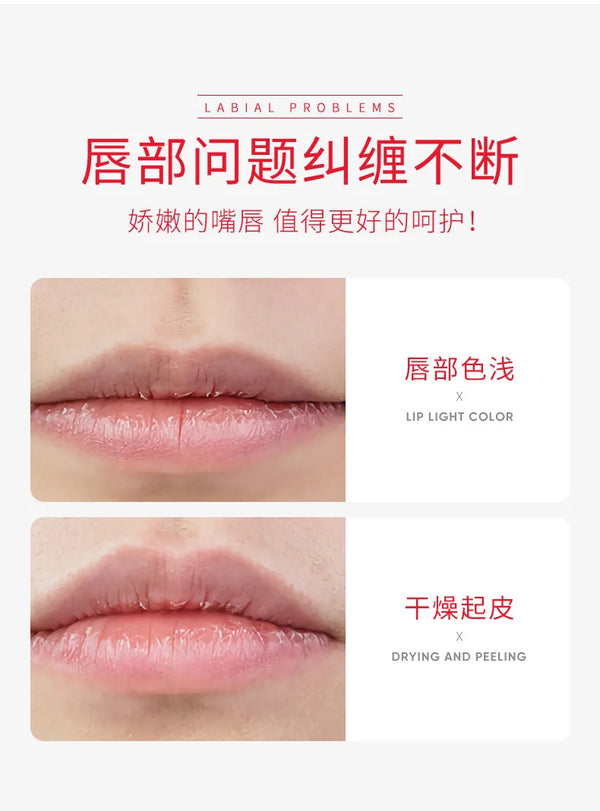 BIOAQUA 天然蘆薈保濕潤唇膏 無色 改善唇紋 女士冬季唇部護理 1支裝 NoirKiss